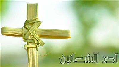 أفضل رسائل التهنئة وبوستات جاهزة للنشر بمناسبة أحد الشعانين 2026 لمشاركتها مع الأصدقاء والعائلة