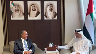 الشراكة الاقتصادية بين مصر والإمارات 