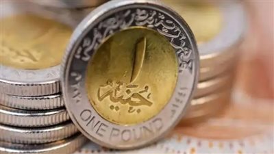 طرح عملة 2 جنيه وتغيير مكونات الجنيه 