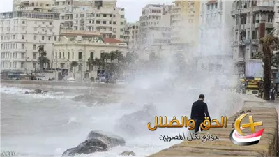 أخبار الإسكندرية 