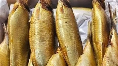 التموين تطرح الرنجة بسعر مخفض داخل المجمعات الاستهلاكية  