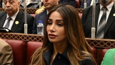 تعليق النواب على توجيهات الرئيس السيسي 