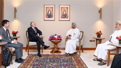 وزير الخارجية يؤكد أولوية الحلول السلمية 