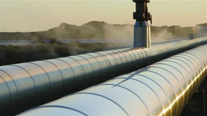 مجلس الشيوخ