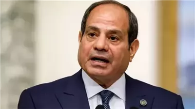 الرئيس السيسي 