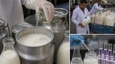 أزمة لبن الفورمالين في المنيا تكشف ضبط أطنان ألبان ملوثة 