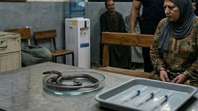 صورة تقريبية غير مرتبطة بالحدث 