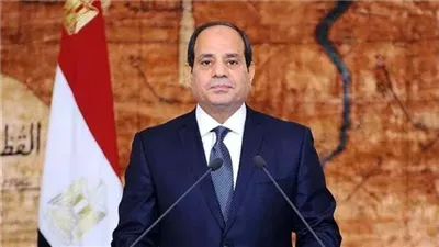 الرئيس السيسي 