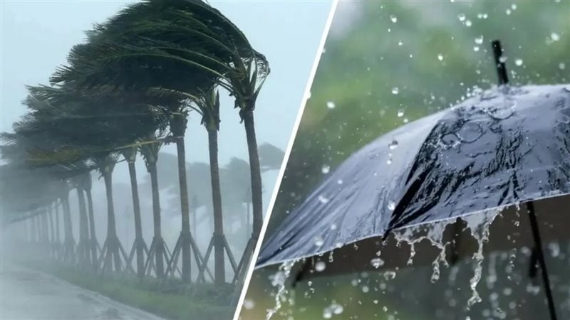 حالة الطقس غدًا في