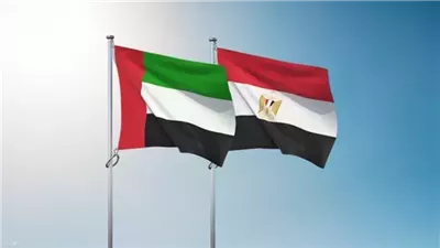 محطة براكة للطاقة النووية في الإمارات 
