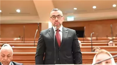 ماذا قال النائب محمد فؤاد عن المعاشات؟ 