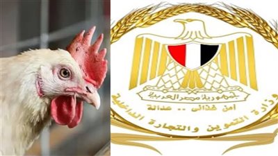 عروض الدواجن منخفضة السعر 