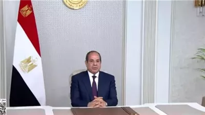الرئيس السيسي 