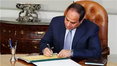 الرئيس السيسي 
