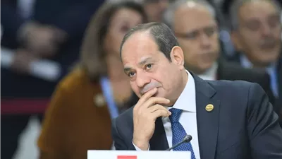المشروعات القومية 