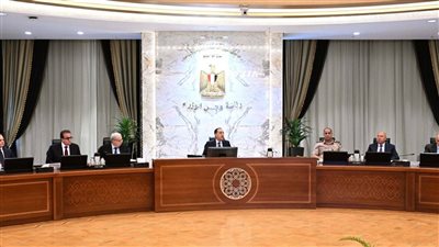 مجلس الوزراء 
