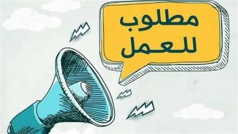 فرصة عمل في السويس