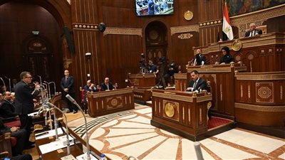 مجلس الشيوخ يوافق على خطة التنمية الاقتصادية والاجتماعية 