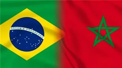 المغرب والبرازيل 