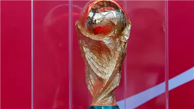 مباريات كأس العالم  