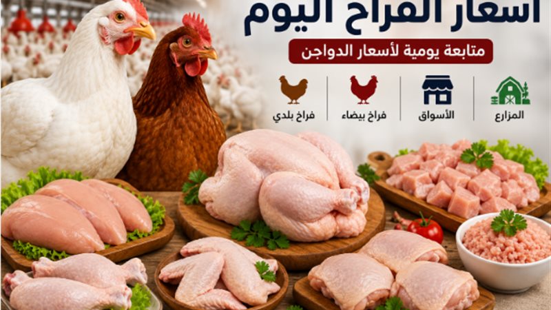 أسعار الفراخ اليوم