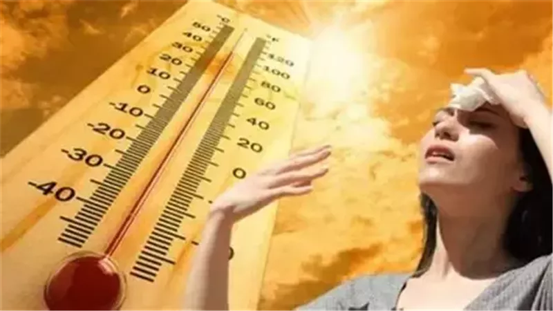 الأرصاد