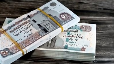 صرف معاشات يوليو بالزيادة الجديدة غدًا 