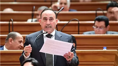 صابة نجل النائب محمد زين الدين في حادث 