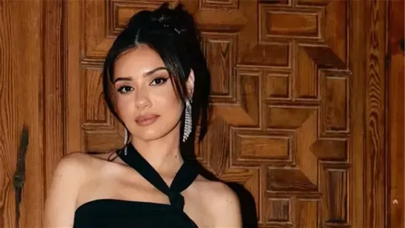 براءة جيهان الشماشرجي
