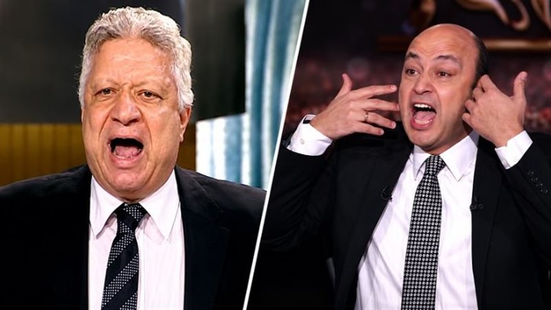 دعوى مرتضى منصور