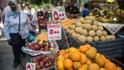 التموين تطلق «سعر موحد» 
