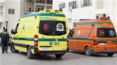 إصابة 10 عمال في انقلاب سيارة 