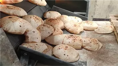 منظومة الخبز الجديدة 
