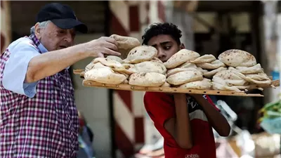 أسعار الخبز السياحي والفينو 