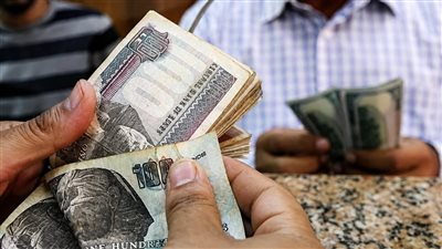مرتبات شهر أغسطس 2026 