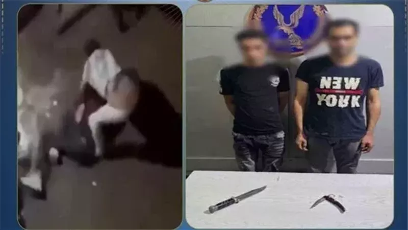الداخلية تضبط عنصرين