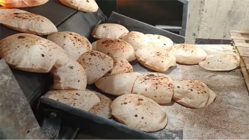 منظومة الخبز الجديدة