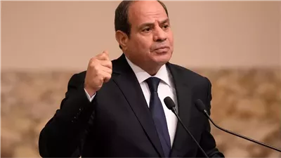 شباب مصر والمنصة الوطنية التفاعلية 