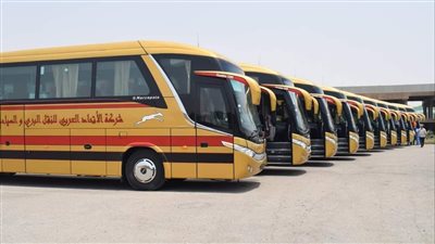 وظائف وزارة النقل للسائقين برخصة أولى 
