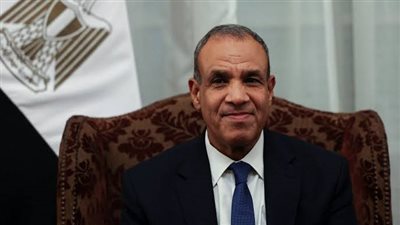 وزير الخارجية: لا سدود إضافية تمس مياه مصر 