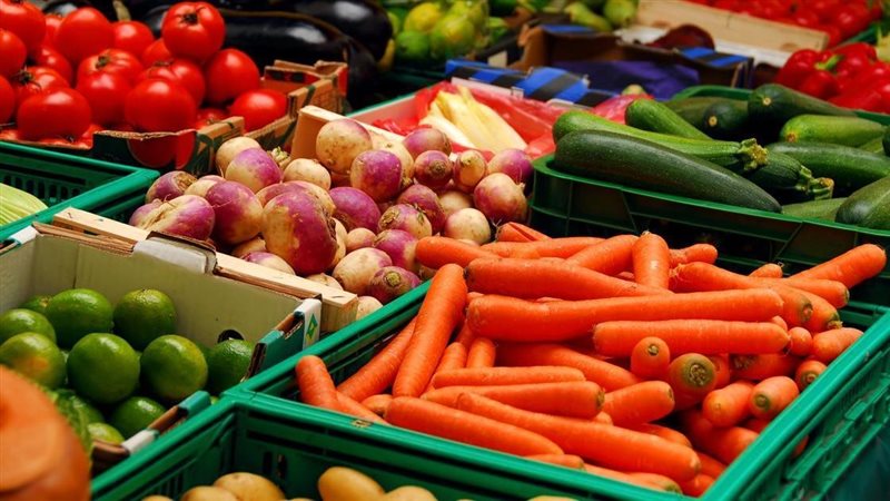 أسعار الخضار اليوم