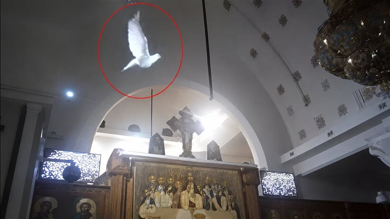 صور متداولة لـ ظهور