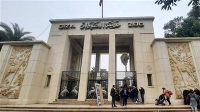 تطوير حديقة الحيوان بالجيزة 