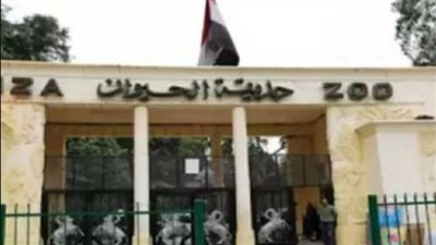 تطوير حديقة الحيوان بالجيزة 