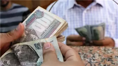 منحة المولد النبوي 2026 