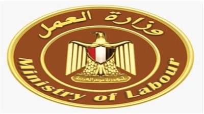 قواعد تنظيم العمل بالقطاع الخاص 
