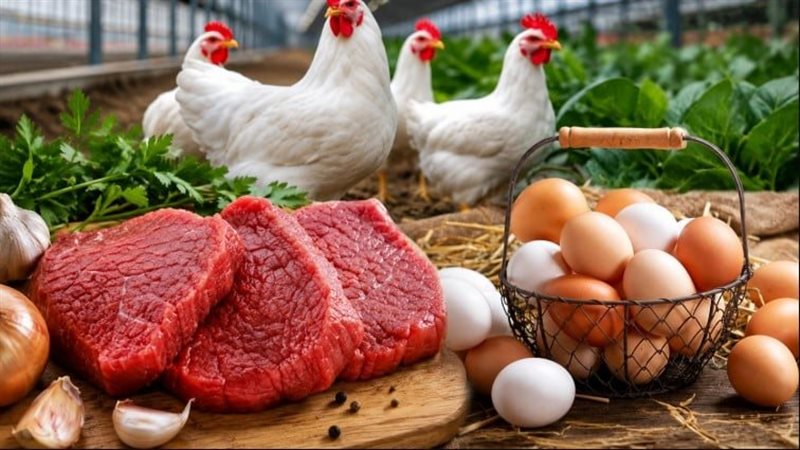 أسعار البيض والدواجن