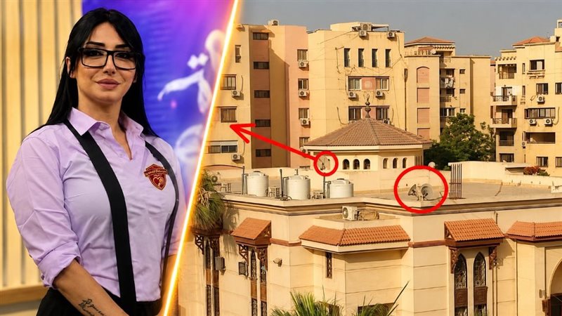 أزمة دينا المصري