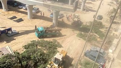 عمرو أديب يطالب بمراجعة قرارات قطع الأشجار 