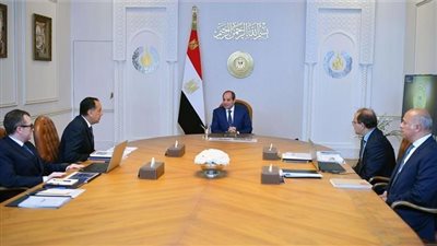 قرار الرئيس السيسي بشأن أراضٍ لمياه الشرب والثقافة والتعليم 